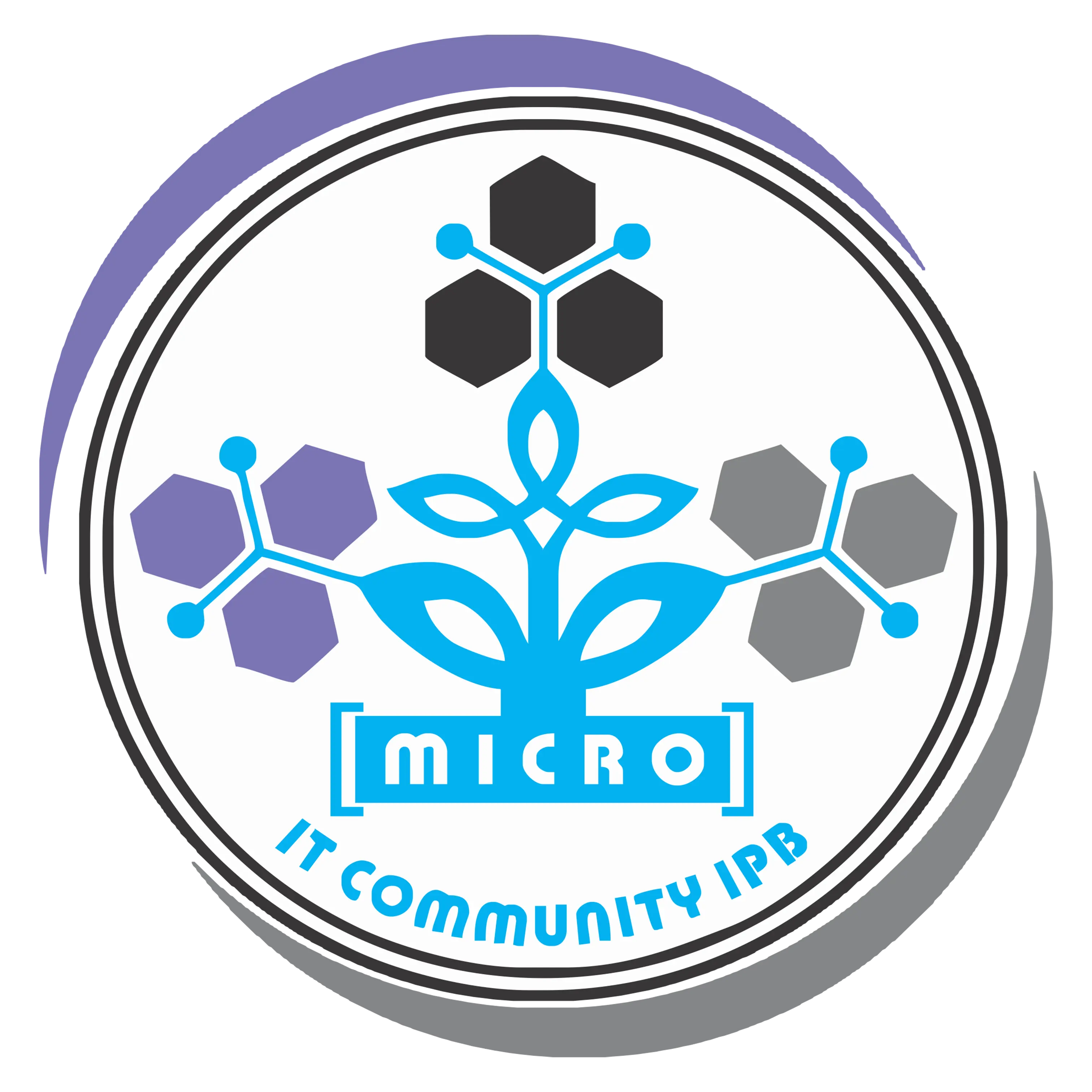 Himavo Micro IT